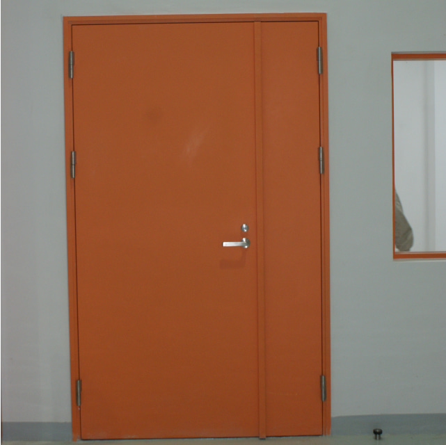 Steel Swing Door